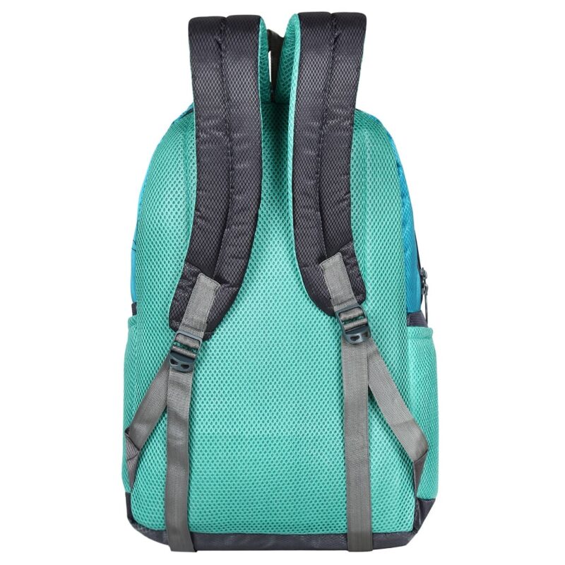 Lucasi sea green color light weight school bag, foam padded back and shoulder straps, back view model no 374